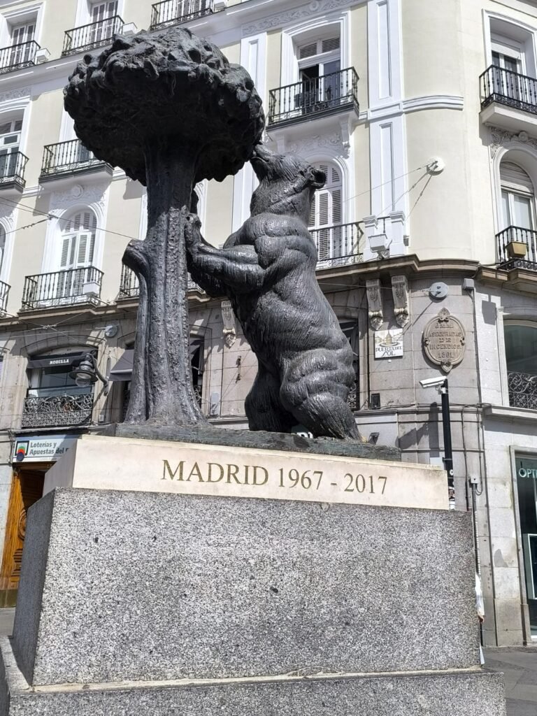 Oso madrid